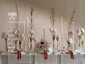 'togas.com' screenshot