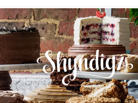 shyndigz.com