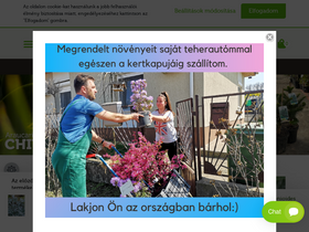 'megyeriszabolcskerteszete.hu' screenshot