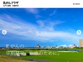 'nyuugan.jp' screenshot