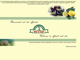 bevida.it