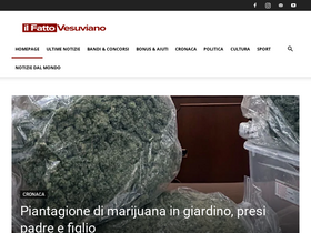'ilfattovesuviano.it' screenshot