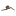 chaminuka.com