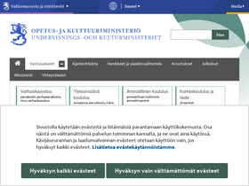 'okm.fi' screenshot