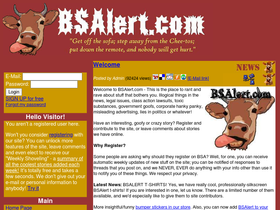 bsalert.com