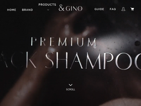 'andgino.jp' screenshot