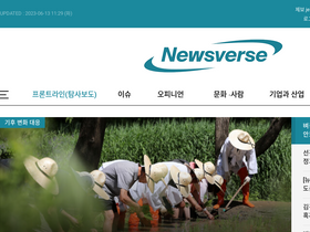 'newsverse.kr' screenshot