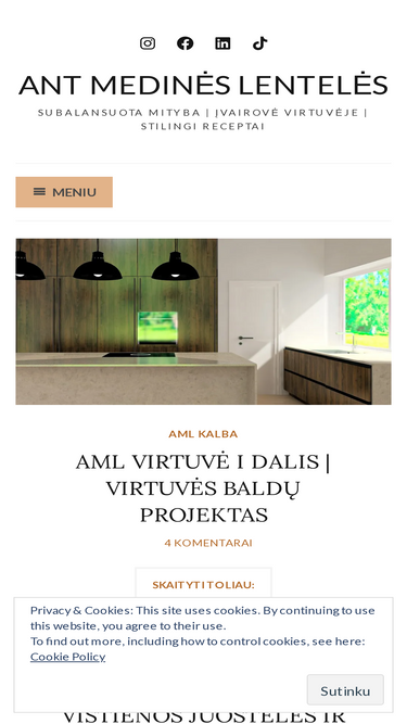 antmedineslenteles.com