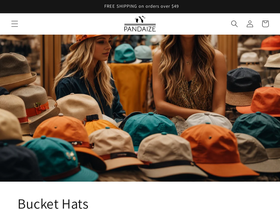 Pandaize website screenshot