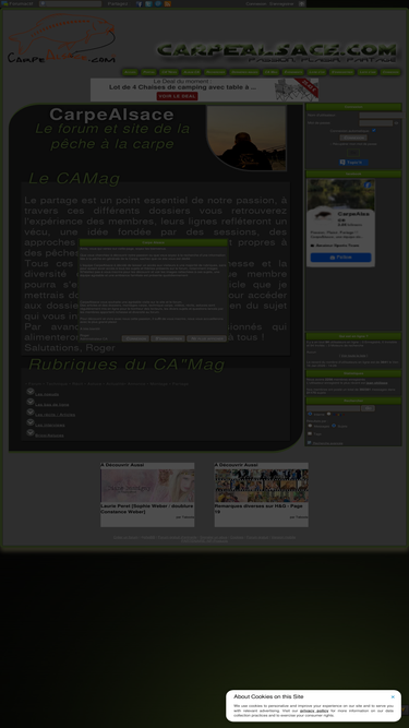 carpealsace.com