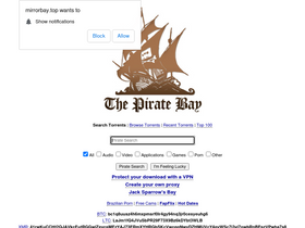 'mirrorbay.top' screenshot