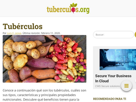 'tuberculos.org' screenshot