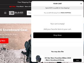 'blauerboardshop.com' screenshot
