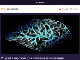 'rusargument.ru' screenshot