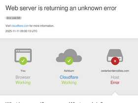 cedarbordercollies.com