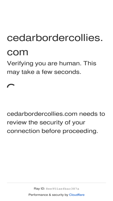 cedarbordercollies.com