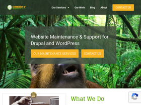 cheekymonkeymedia.ca