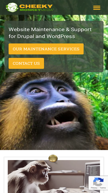 cheekymonkeymedia.ca