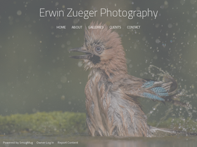 erwinzueger.com