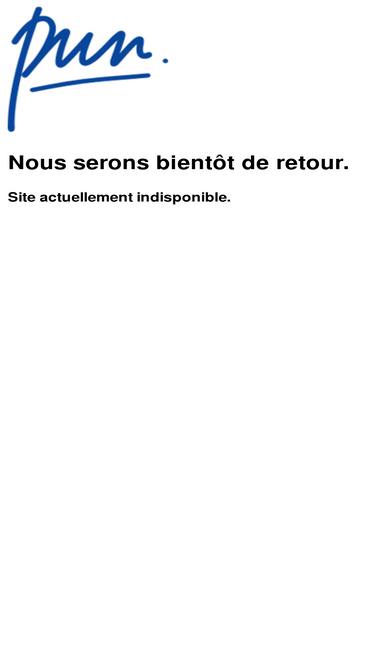 punstory.com