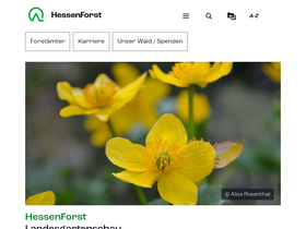 'hessen-forst.de' screenshot