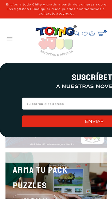 toyng.cl