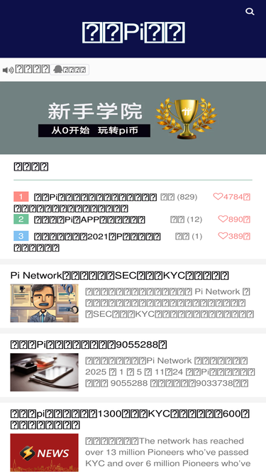 chinapibi.com