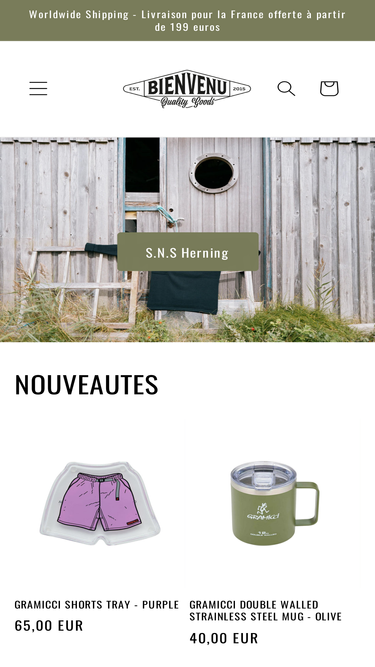 bienvenustore.com