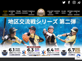 'tochigi-braves.jp' screenshot