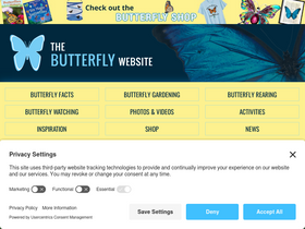 butterflywebsite.com