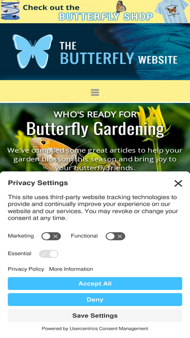 butterflywebsite.com