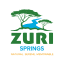 zurisprings.com