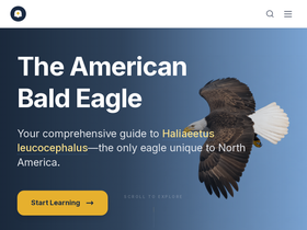 baldeagleinfo.com