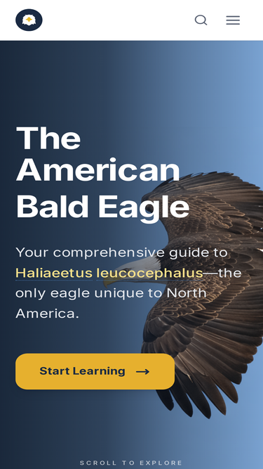 baldeagleinfo.com