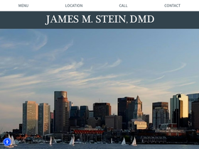steinesthetics.com