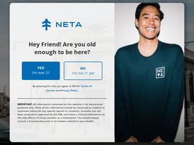 'netacare.org' screenshot