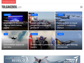 'tolgaozbek.com' screenshot