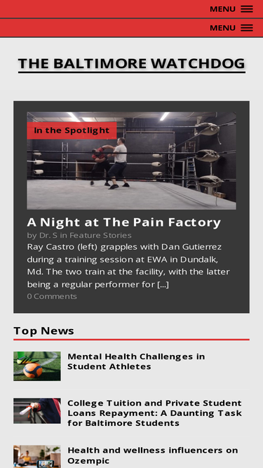 baltimorewatchdog.com