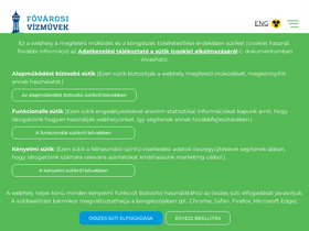 'vizmuvek.hu' screenshot