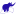 mycarpet.com.ua