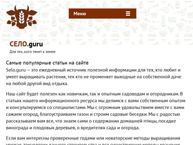 'selo.guru' screenshot