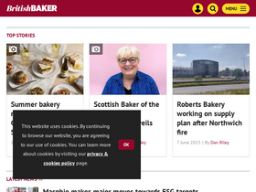 'bakeryinfo.co.uk' screenshot