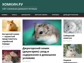 'homkin.ru' screenshot