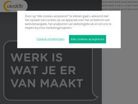 'vivaldisinterim.be' screenshot