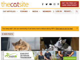 'thecatsite.com' screenshot