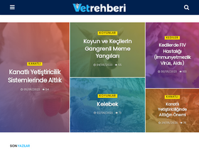 'vetrehberi.com' screenshot