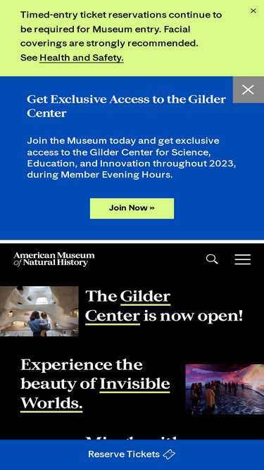 amnh.org