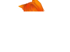 animezup.com