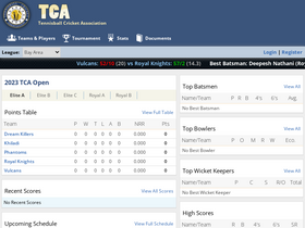 'tennisballcricket.com' screenshot