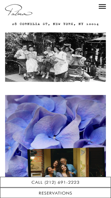palmanyc.com